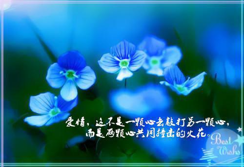 姜不喜北君临免费阅读 太子懵了!村女她怎么变狠辣毒妇了最新章节免费阅读