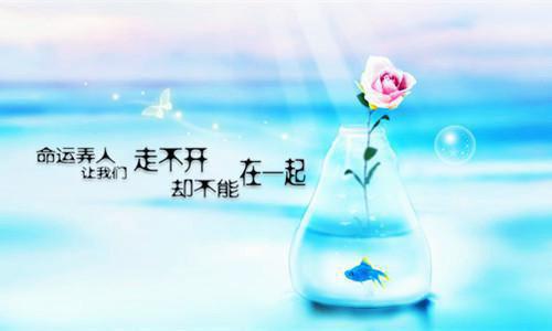 冷州苏青青小说叫什么 三千块的大女主小说冷州苏青青