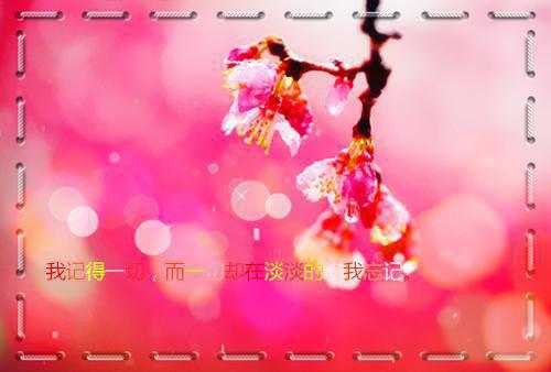 容希月元辰轩苏婉婉的最新章节更新时间 看见弹幕后，我送狗皇帝和白月光归西小说容希月元辰轩苏婉婉免费阅读全文