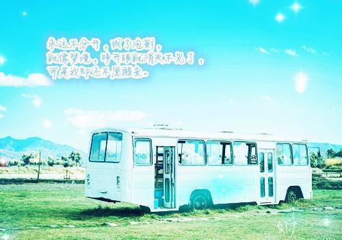 江似月顾凛川江青瑶最新章节更新 江似月顾凛川免费阅读小说