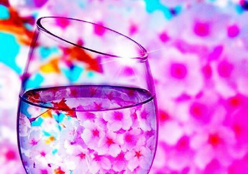 岁岁与枝同:萧祈风沈如枝萧祈安小说后续终章+特别篇(沈如枝萧祈安)在线阅读