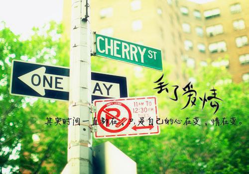 余安青崔行默楚照晚最新章节更新 余安青崔行默免费阅读小说