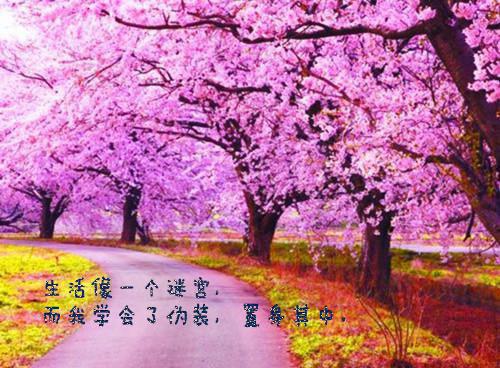宋一诺沈慕言姜瑶小说免费阅读最新章节 唯留星光刺骨寒：后续小说免费阅读全文最新章节