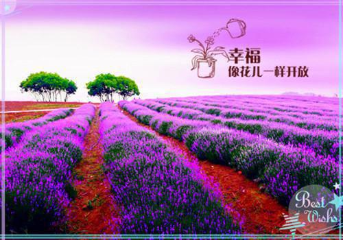 沈书瑶姚欣欣结局 首富千金曝光后，舍友想做我后妈全文阅读