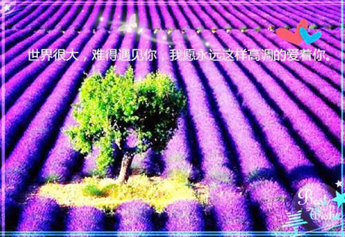 李春燕笔趣阁免费阅读 我妈死后，投胎做了我儿子在线阅读