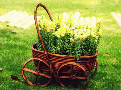 沈薇浩辰林月瑶宋远林铭的最新章节更新时间 弟弟的女朋友回国后,我被迫成了白月光沈薇浩辰林月瑶宋远林铭大结局