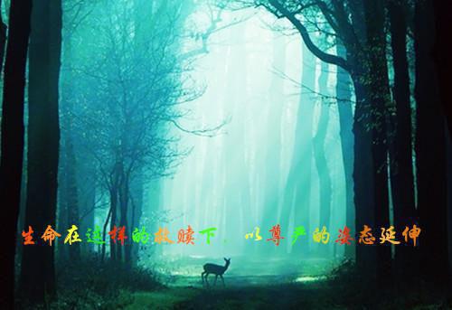 最热门小说白月光前妻成了替身(陈最唐柔施忆林序白)_白月光前妻成了替身(陈最唐柔施忆林序白)完整版免费小说