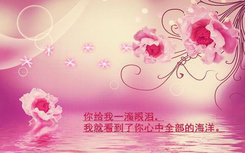 全本终随雁影各西东全文+后续精选作品之一（程希倪安）最新章节列表_全本终随雁影各西东全文+后续精选作品之一全文阅读