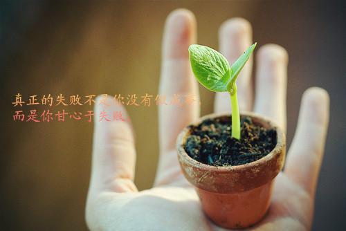 珍珍林南笔趣阁免费阅读 离婚只因老公爱吃鱼：后续笔趣阁最新章节