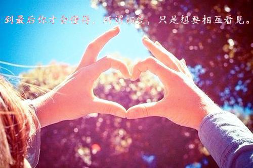 洛凝晚夜烬寒洛清越洛思远免费阅读最新章节结局 与君同烬小说洛凝晚夜烬寒洛清越洛思远