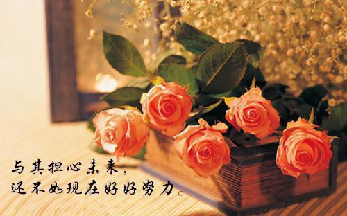 黎鸢沈聿赵文清小说叫什么 被男友妈妈说晦气后,我杀疯了在线阅读