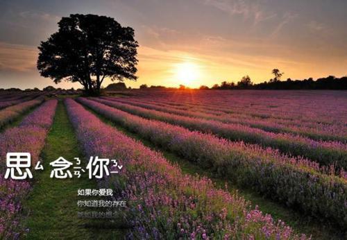 (番外)+(全文)被时间碾碎的承诺:全文+后续（温越陈君茹）全文免费阅读无弹窗大结局_被时间碾碎的承诺:全文+后续全文最新章节列表_笔趣阁（温越陈君茹）