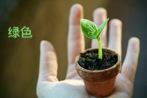 林月瑶池野宋婷的小说叫什么 竹马未婚夫喜欢上了贫困生林月瑶池野宋婷全文