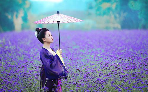 苏然许焰的最新章节更新时间 怦然如初小说正版免费阅读