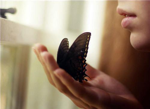 林珉瑶韩宇寰最新章节更新时间 林珉瑶韩宇寰原著在线阅读