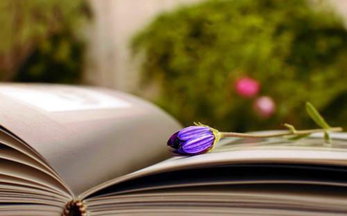 姜月澜骆时宴《难平他心中妄念高分言情》最新章节阅读_(难平他心中妄念高分言情)全章节免费在线阅读_姜月澜骆时宴《难平他心中妄念高分言情》完结版免费阅读_难平他心中妄念高分言情全文免费阅读_难平他心中妄念高分言情