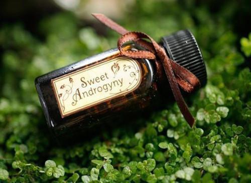 黎夏周蔺臣周清妍笔趣阁 他又换了签:后续(某生)免费阅读