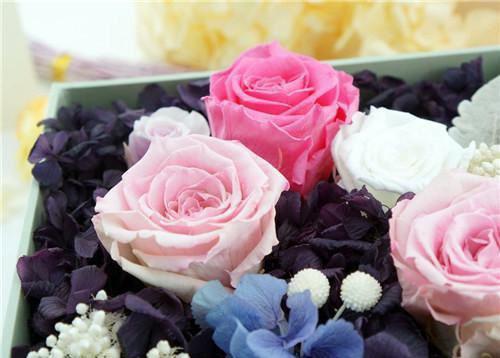 傅之珩傅泽承温意眠笔趣阁 他与天光一步之遥免费阅读小说