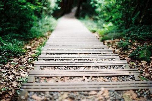 陆辞江梦颖的最新章节更新时间 江梦颖陆辞小说陆辞江梦颖免费阅读全文