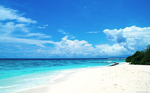 (番外)+(全文)不见青山存：全文免费+后续全文免费阅读_(霍宴秦兮)不见青山存：全文免费+后续免费阅读最新章节列表_笔趣阁（霍宴秦兮）