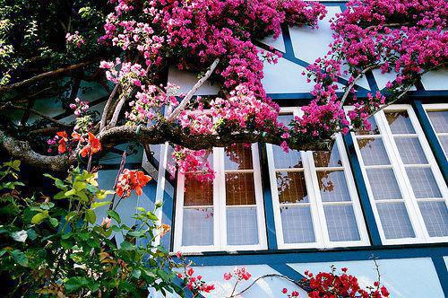 柯霓景斯存免费阅读最新章节 柯霓景斯存免费阅读小说