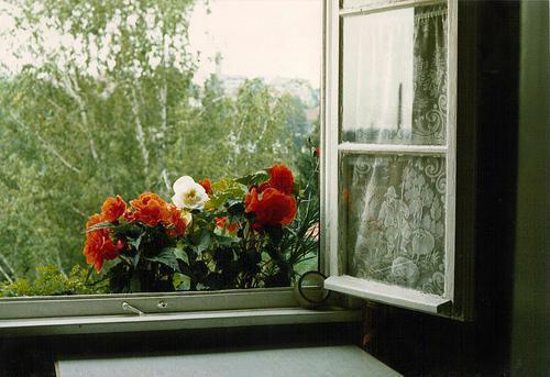 虞诺周聿琛许佳宜免费阅读最新章节 虞诺周聿琛：完整男主虞诺周聿琛许佳宜小说