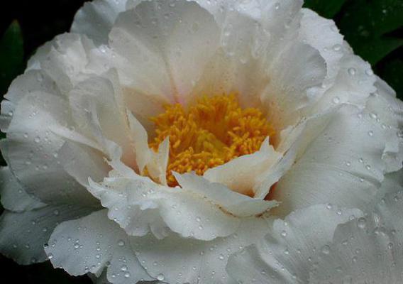 不过红尘一过客：,许曾舒韩牧霄优质全章许曾舒韩牧霄完结版免费阅读_不过红尘一过客：,许曾舒韩牧霄优质全章许曾舒韩牧霄抖音小说全文阅读_不过红尘一过客：,许曾舒韩牧霄优质全章许曾舒韩牧霄抖音小说全本阅读