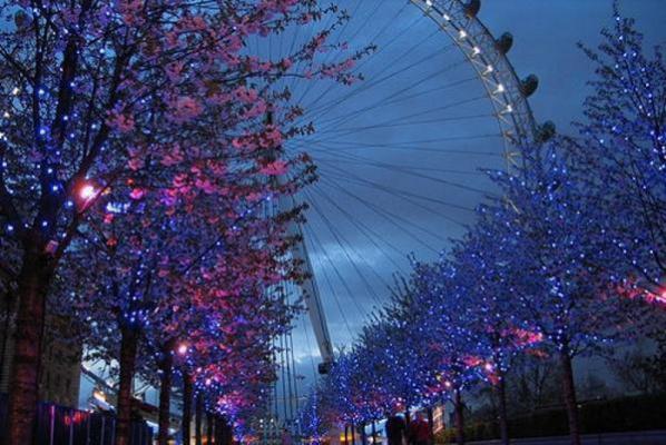 沈清韵秦白艽刘茹因和谁在一起了 重生后总裁夫人整容跑路了免费阅读小说