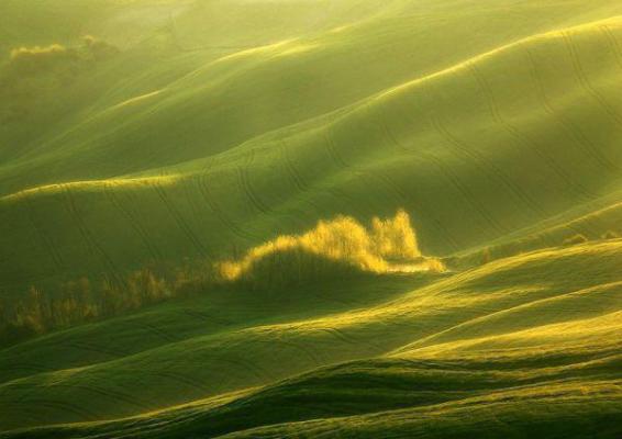 孟怀宴沈棠小说结局 重生后被疯批前夫强取豪夺了小说