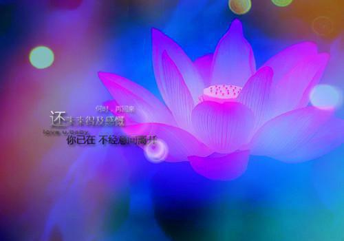 我李伟林李志远小说免费阅读最新章节 老公拿我爸救命钱五十万给小三买房，十年后我让私生子没书读我李伟林李志远大结局