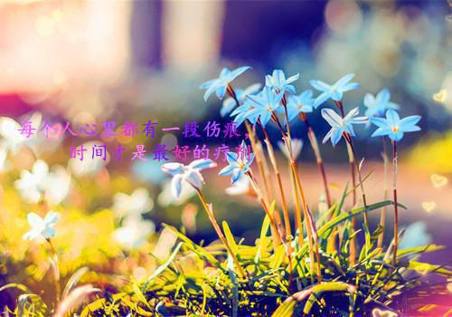 顾云初萧烬野顾云烟萧绮罗最新章节列表 夫君假死，我让他假死变真死：后续免费阅读小说