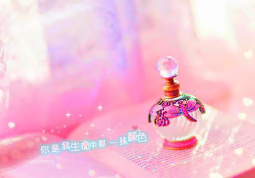 十天后,我从他面前一跃而下祝诗言周序白妍最新全本小说_十天后,我从他面前一跃而下(祝诗言周序白妍)章节列表