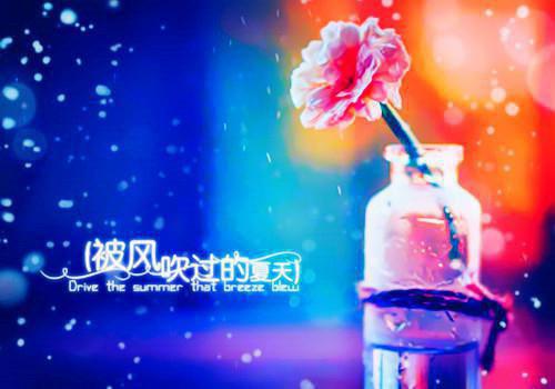 心跳瞒不过夜深最新小说（杜芝芝裴郁礼）全文阅读