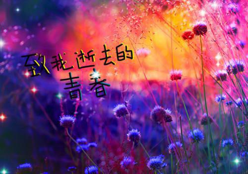 楚然沈舟林淼的小说叫什么 实习生让我婚宴端盘子,我掀翻整个婚礼全文阅读