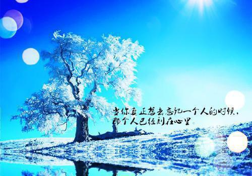 傅清清宋怡的小说叫什么 重生之继承渣爸的亿万遗产：二版短篇小说