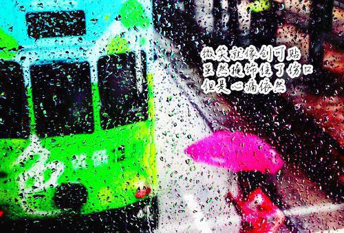 顾鹃廖清的小说叫什么 我攻略了霸总全家:后续笔趣阁