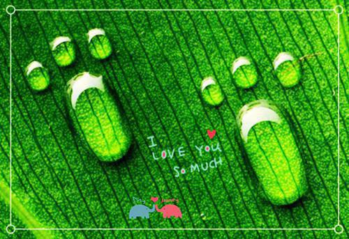 我想换个妈(王露露赵成)已完结,我想换个妈已完结