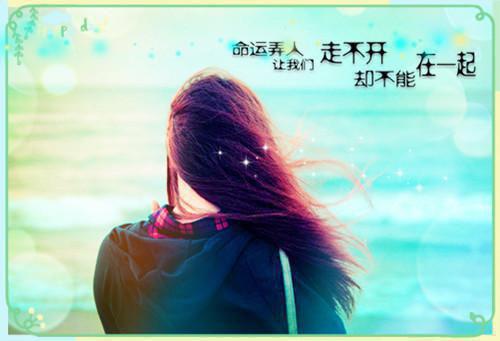 曲若凝贺辞洲小说免费阅读 雨夜诱引小说最新章节列表