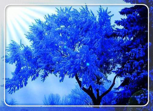 惹她？疯了！夫人在京圈杀疯了全文小说秦筝顾庭聿小说在线阅读