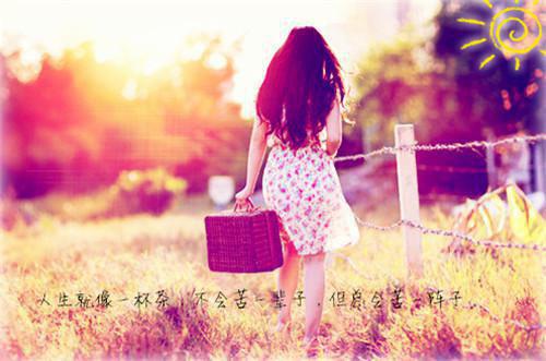 裴昭宇秦思雨裴翌哲裴景轩小说名字 杨花落雪无痕笔趣阁最新章节列表