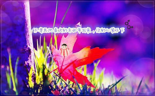 司棠林玥陈煦阳是哪部小说 司棠免费阅读司棠林玥陈煦阳小说