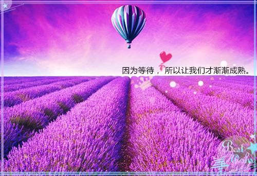 宋沅季昀是哪部小说 人生恰如三月花笔趣阁