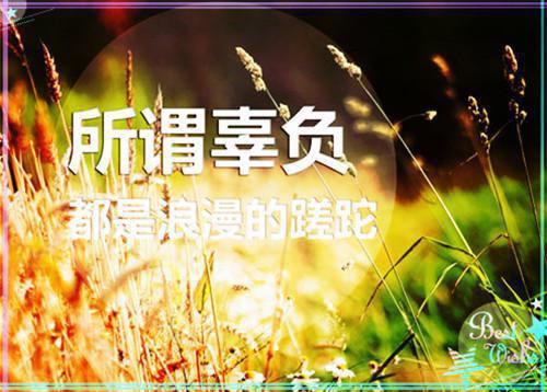 苏茉苒苏清珊小说免费阅读 当宫斗太后穿成现代真千金by鹿衔灯