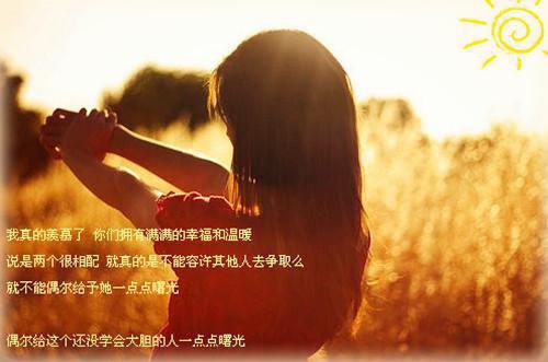 义姐封妃，我当众撕了她的凤袍最新小说（萧承嗣苏晚晴张箴）全文阅读