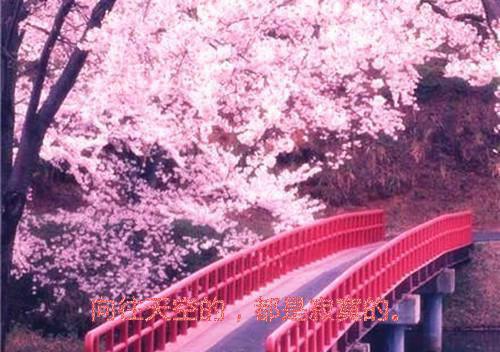 许随周瑶的最新章节小说 我去首富家当饭搭子（玄机子）免费阅读