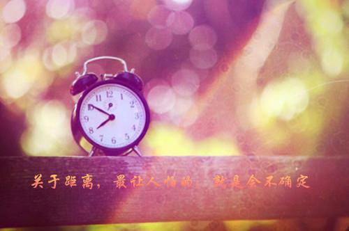 锦墨小说免费阅读全文 闺蜜污蔑我撞死天价藏獒，我喝下藿香正气水上高速（墨白）免费阅读