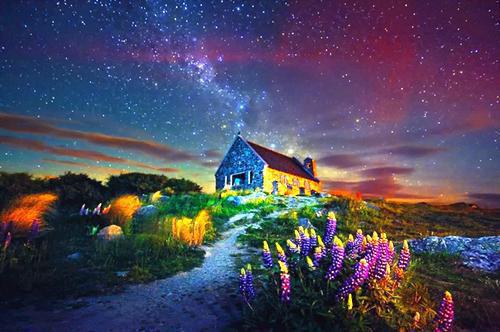 重生太后手撕渣儿守江山全文小说叶清芙墨景宸小说在线阅读