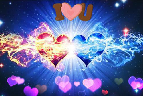 舒禾贺洛屿赵晚乔小说结局 舒禾贺洛屿小说