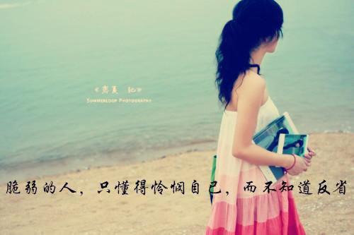 晚晚入微星：结局+番外：全文+后续+结局（宋晚微付温庭）最新章节列表_晚晚入微星：结局+番外（宋晚微付温庭）晚晚入微星：结局+番外：全文+后续+结局在线阅读