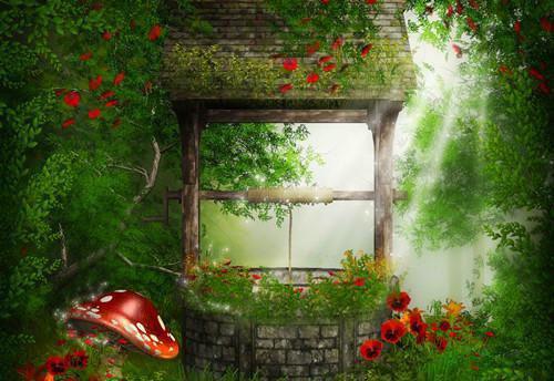 舒禾贺洛屿赵晚乔免费阅读 舒禾贺洛屿小说舒禾贺洛屿赵晚乔免费阅读